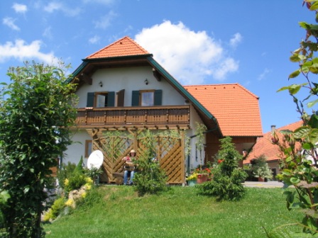Pferdekutschenfahrten