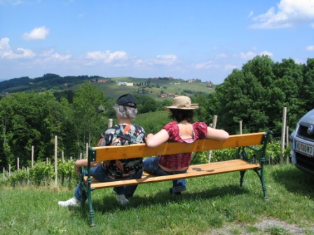 Pferdekutschenfahrten
