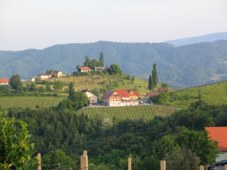 Pferdekutschenfahrten